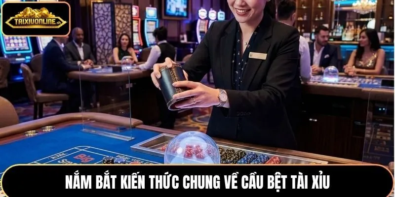 Nắm bắt kiến thức chung về cầu bệt tài xỉu