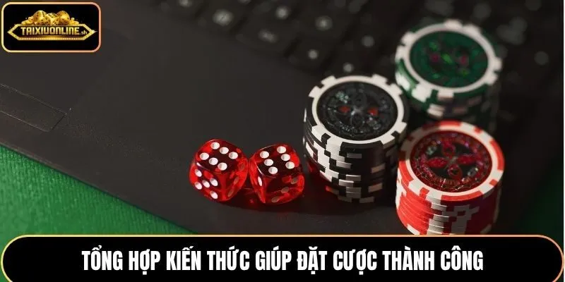 Tổng hợp kiến thức giúp đặt cược thành công